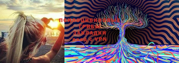 гашик Абинск