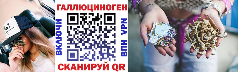 даркнет официальный сайт  Энем  Галлюциногенные грибы Psilocybe 